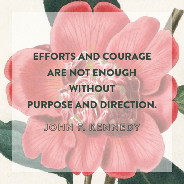 efforts-and-courage