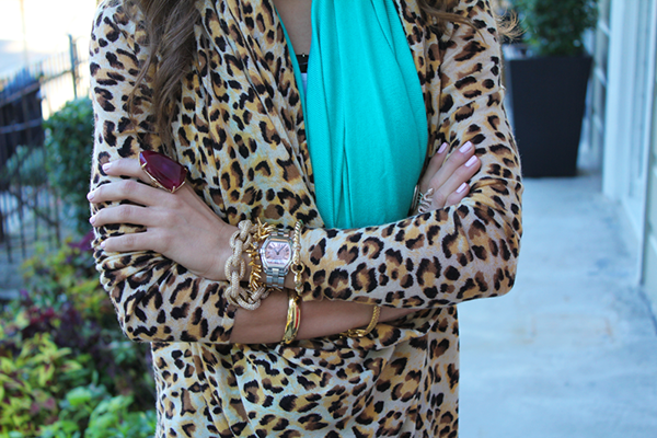 cheetah and turquoise