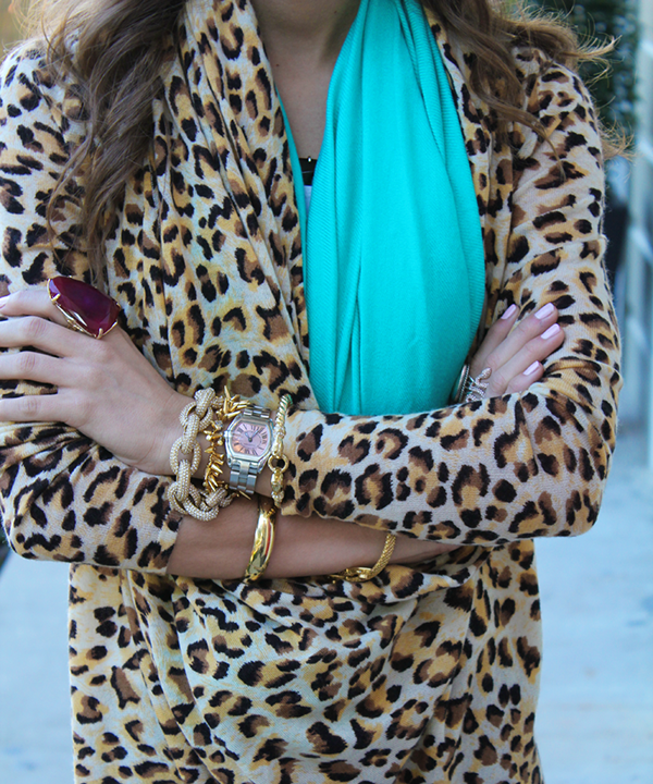 cheetah and turquoise