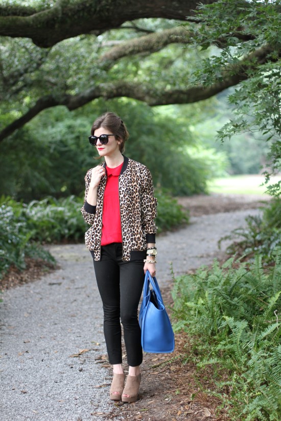 Leopard print and Rouge (12)