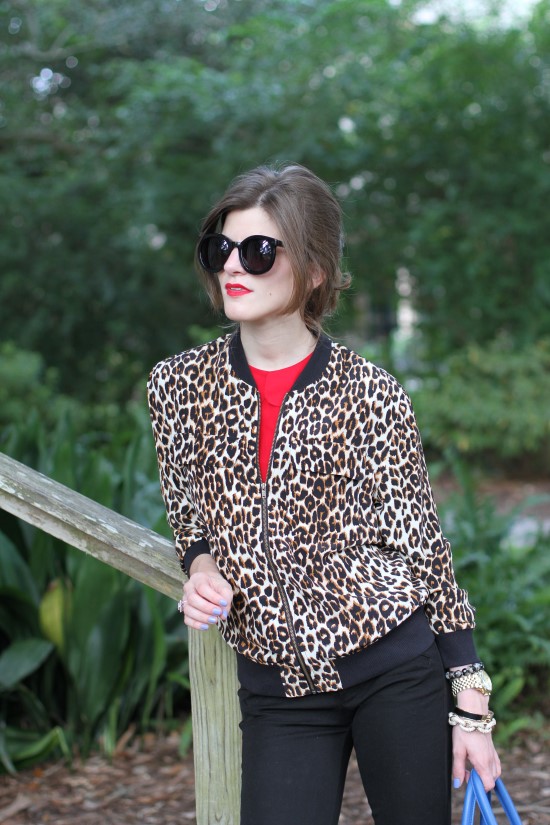 Leopard print and Rouge (15)