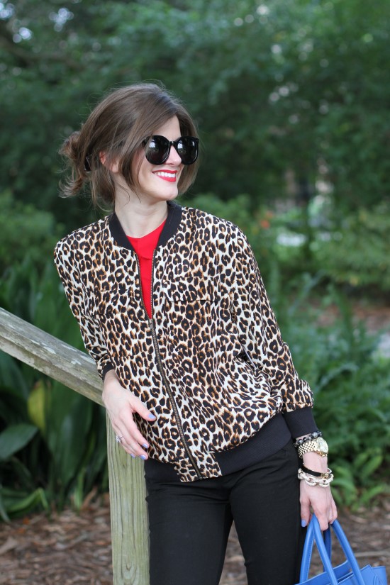 Leopard print and Rouge (16)