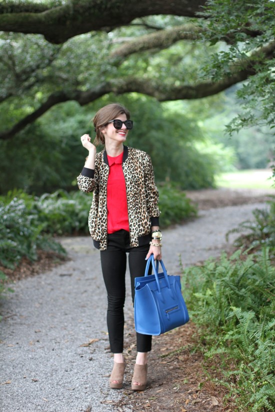 Leopard print and Rouge (19)