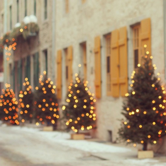 christmas trees and lights