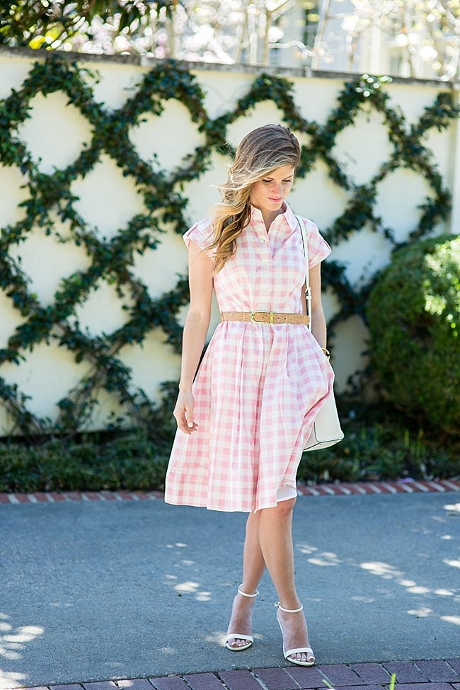 brighton the day pink and white gingham midi dress 4
