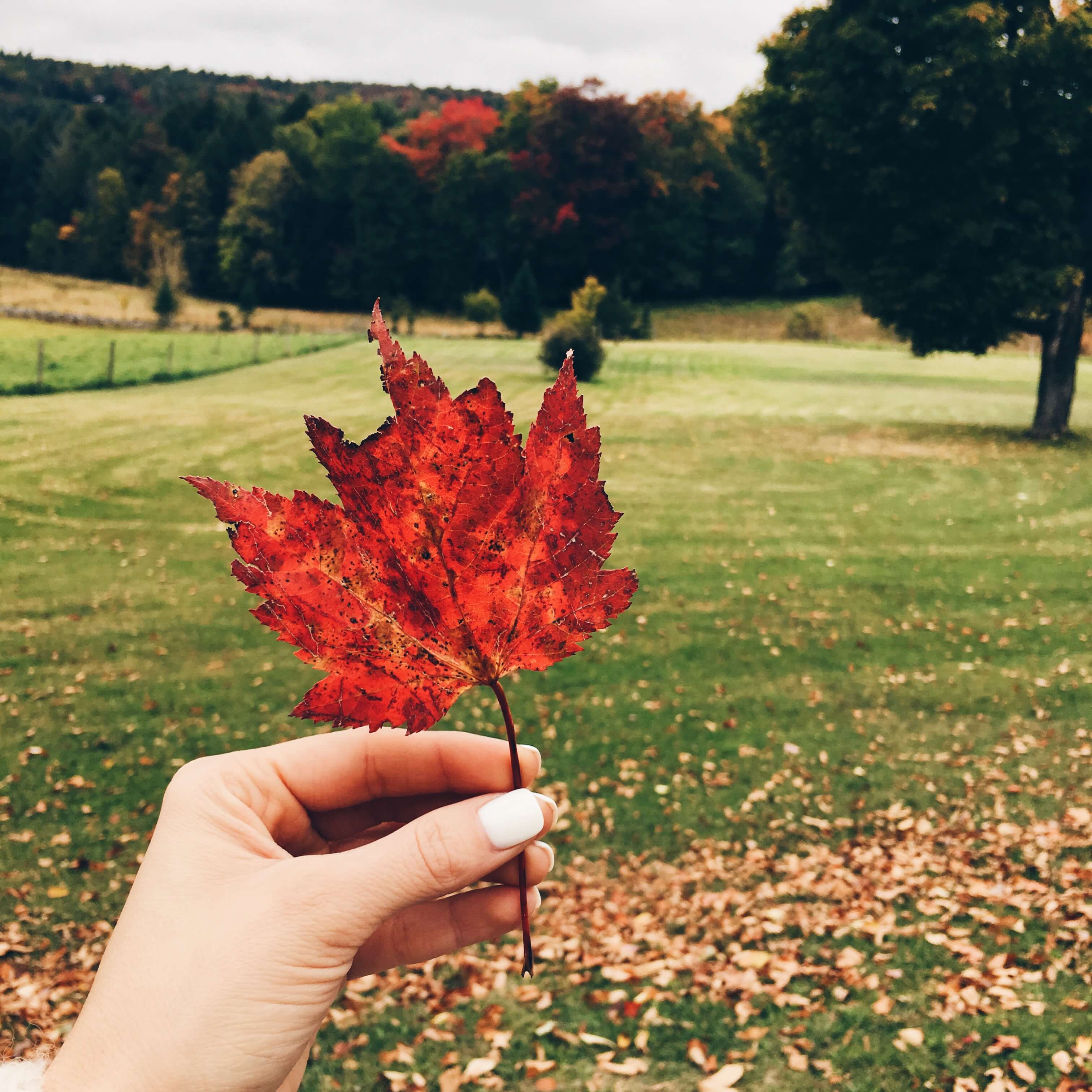 leaf peeping season in Vermont
