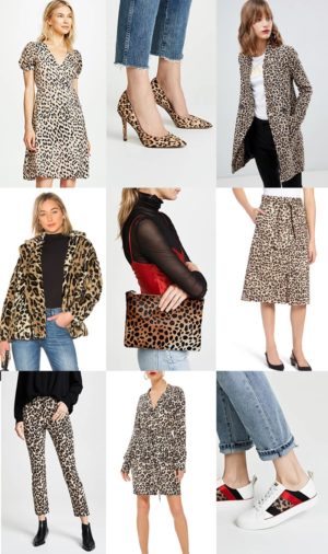 What I'm Shopping - Leopard Edition • BrightonTheDay