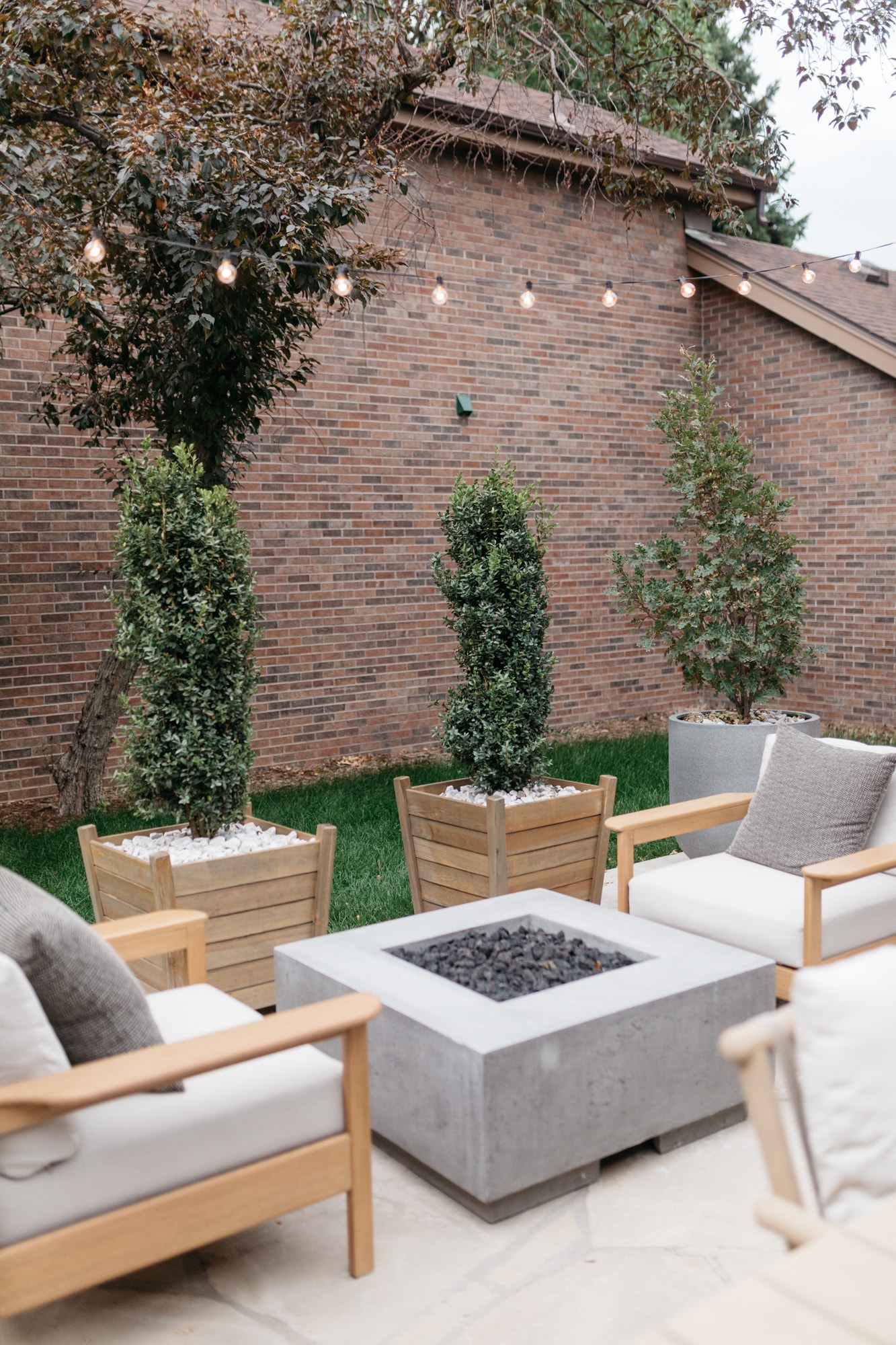 Brighton butler patio fireplace and chairs, planted boxwood plants, patio planted plants, string lights