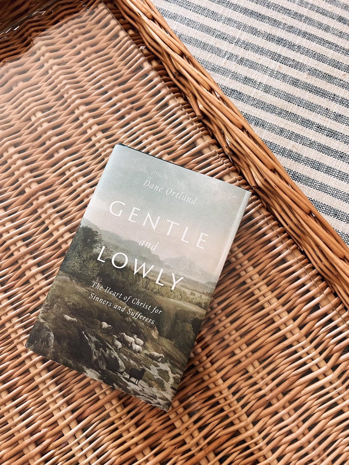 Brighton Butler What I read in April Gentle and Lowly book review